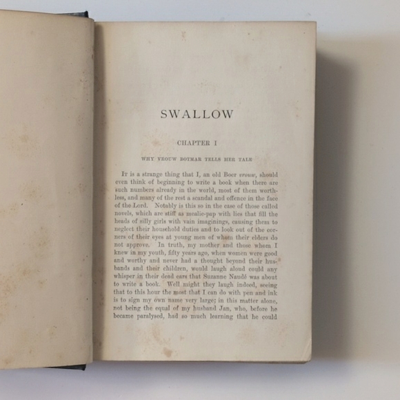 Swallow - H. Rider Haggard - 1900 - Picture 6 of 16